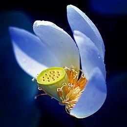 希腊神话版《求生之路》？FPS游戏《陨灭》Steam页面上线 